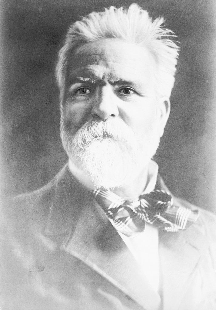 Detail of Portrait Of Edward Markham by Anonymous