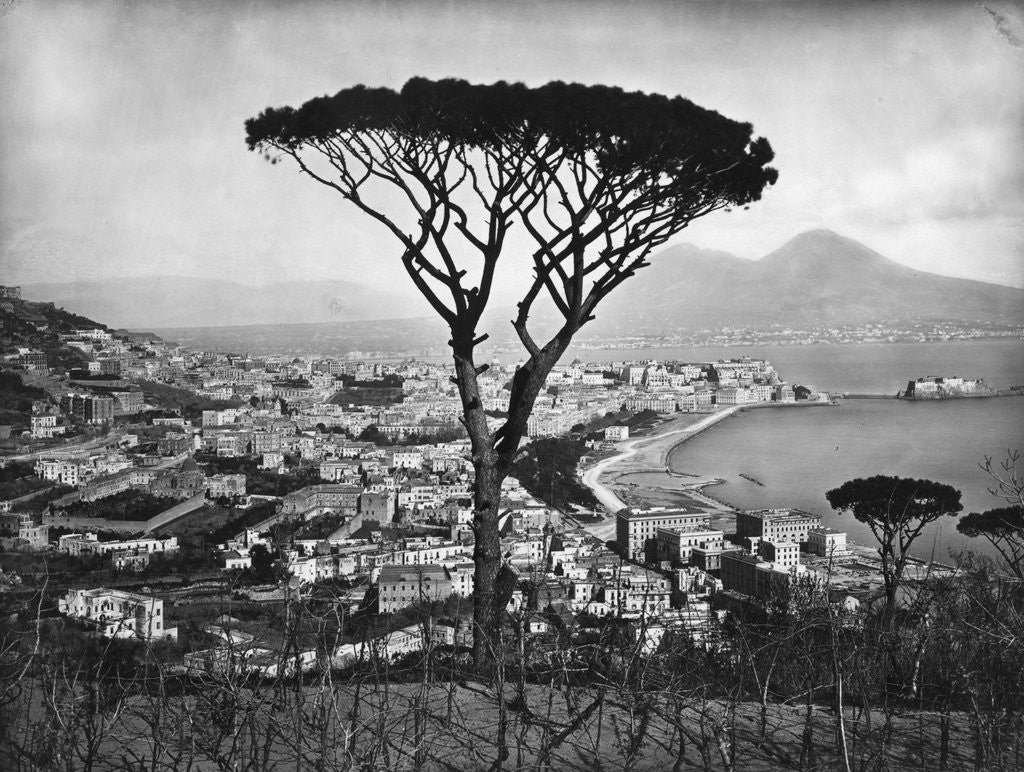 Detail of Panoramic Aerial View Of Naples by Anonymous