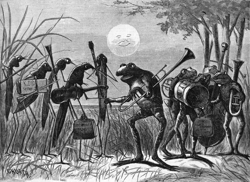 Detail of Engraving of Frog and Insect Musicians by Anonymous