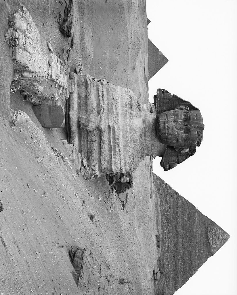 Detail of Great Sphinx and Pyramids at Giza by Anonymous