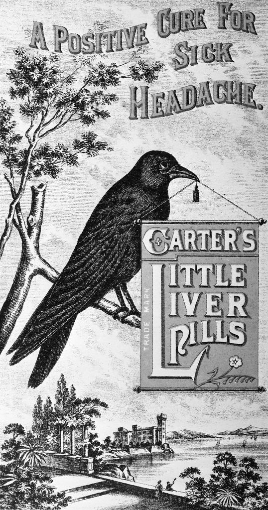 Detail of Carter's Little Liver Pills Advertisement Depicting a Crow by Corbis