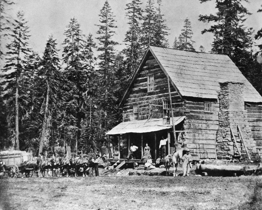 Detail of Log Cabin In Woods Used As Hotel by Anonymous