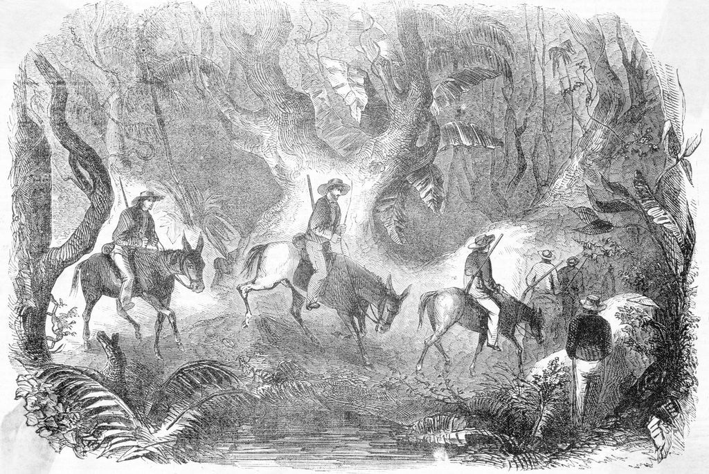 Detail of Californians Crossing The Panama by Anonymous