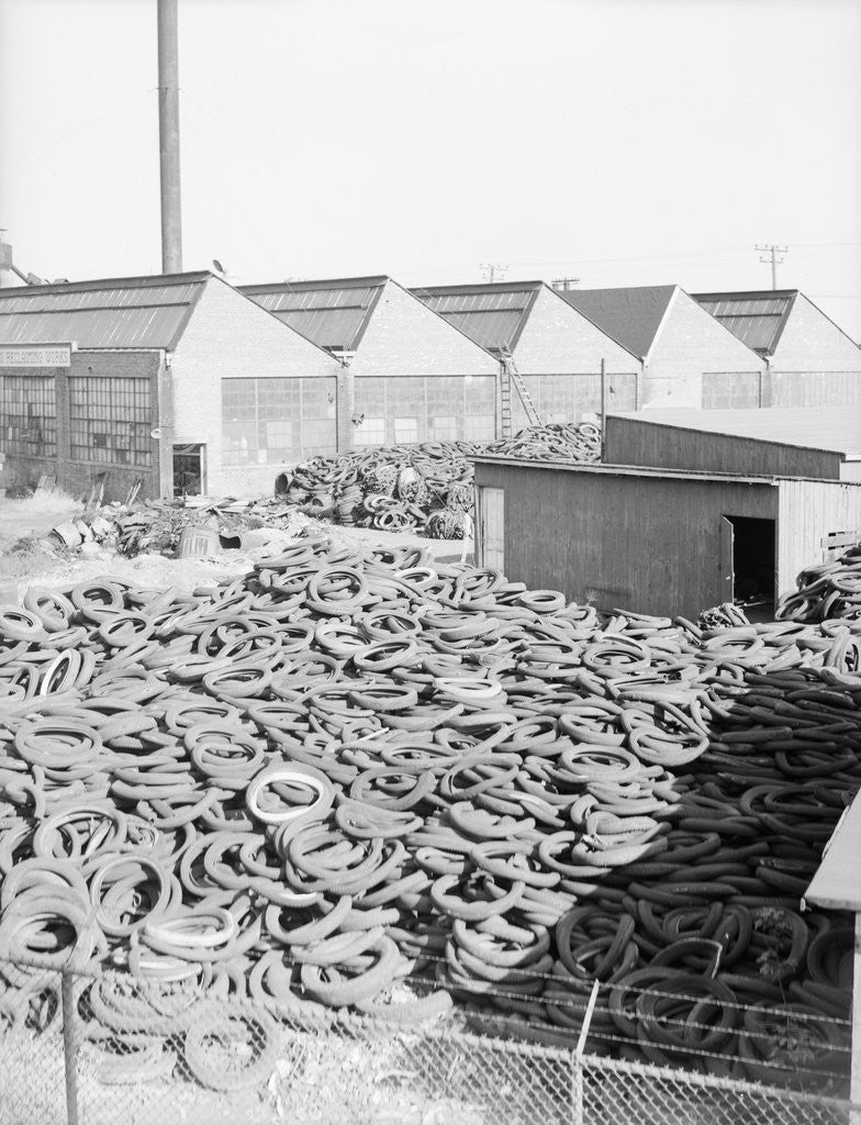 Detail of Yard Full of Scrap Auto Tires by Anonymous