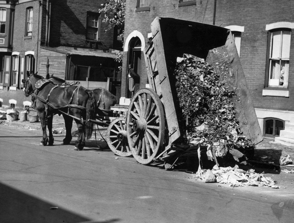 Detail of Horsedrawn Trash Cart Dumping In Street by Anonymous
