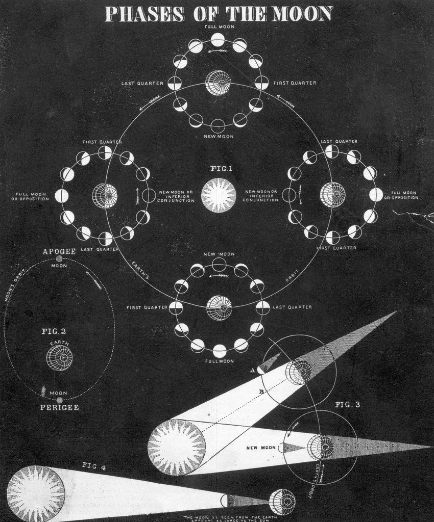 Detail of Illustration Of 