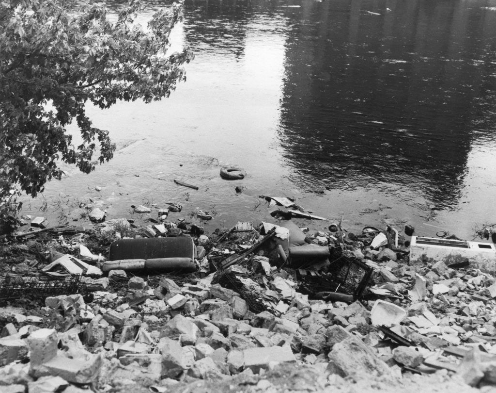Detail of Passaic River W/Debris On Its Bank;Pollu by Anonymous
