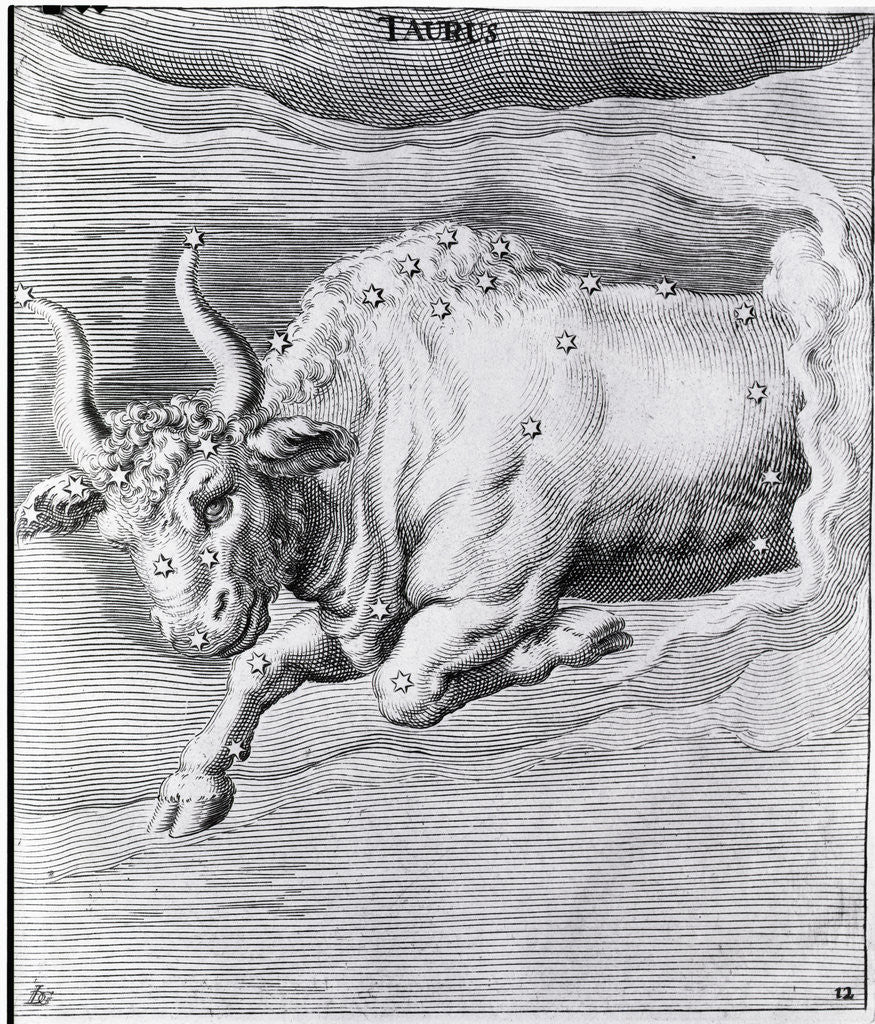 Detail of Engraving Of Taurus by Anonymous