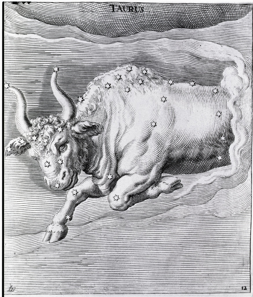 Detail of Engraving Of Taurus by Corbis