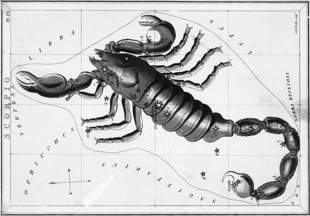 Detail of Scorpio Constellation Illustrated on Star Map by Anonymous