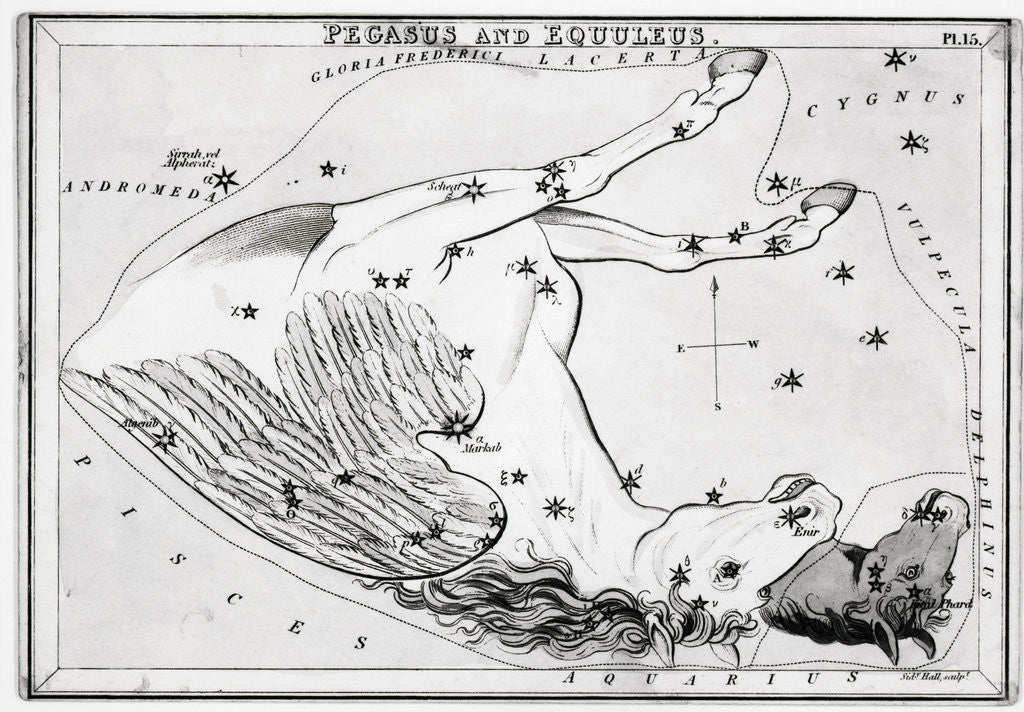 Detail of Constellations Pegasus & Equuleus by Anonymous