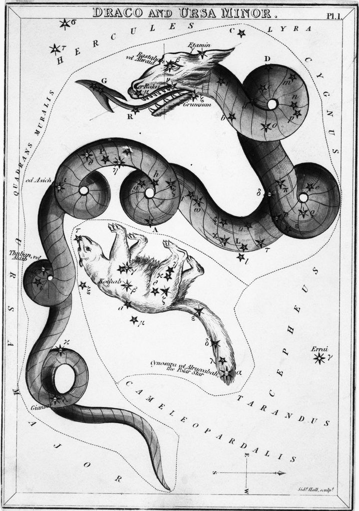 Detail of Constellations;Little Bear;Dragon;Engr by Anonymous