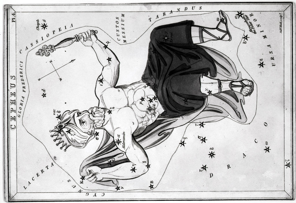 Detail of Engraving Of Cepheus Constellation by Corbis