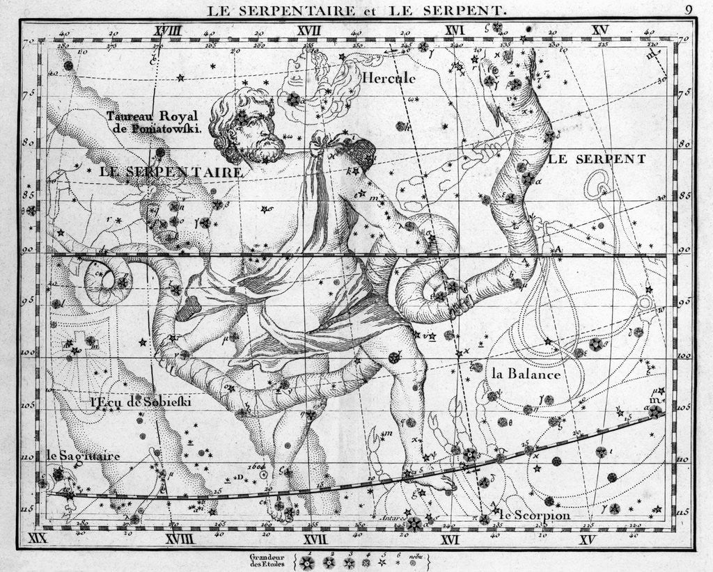 Detail of Engraving Of Constellation Serpens by Anonymous