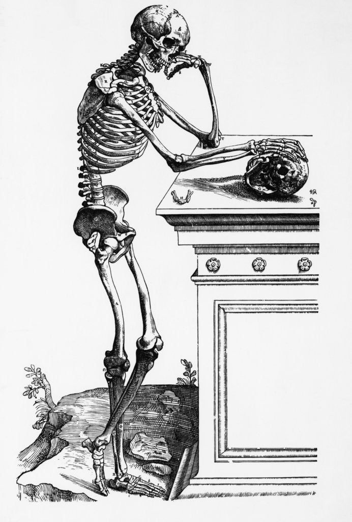 Detail of Print of a Skeleton Contemplating a Skull by Anonymous