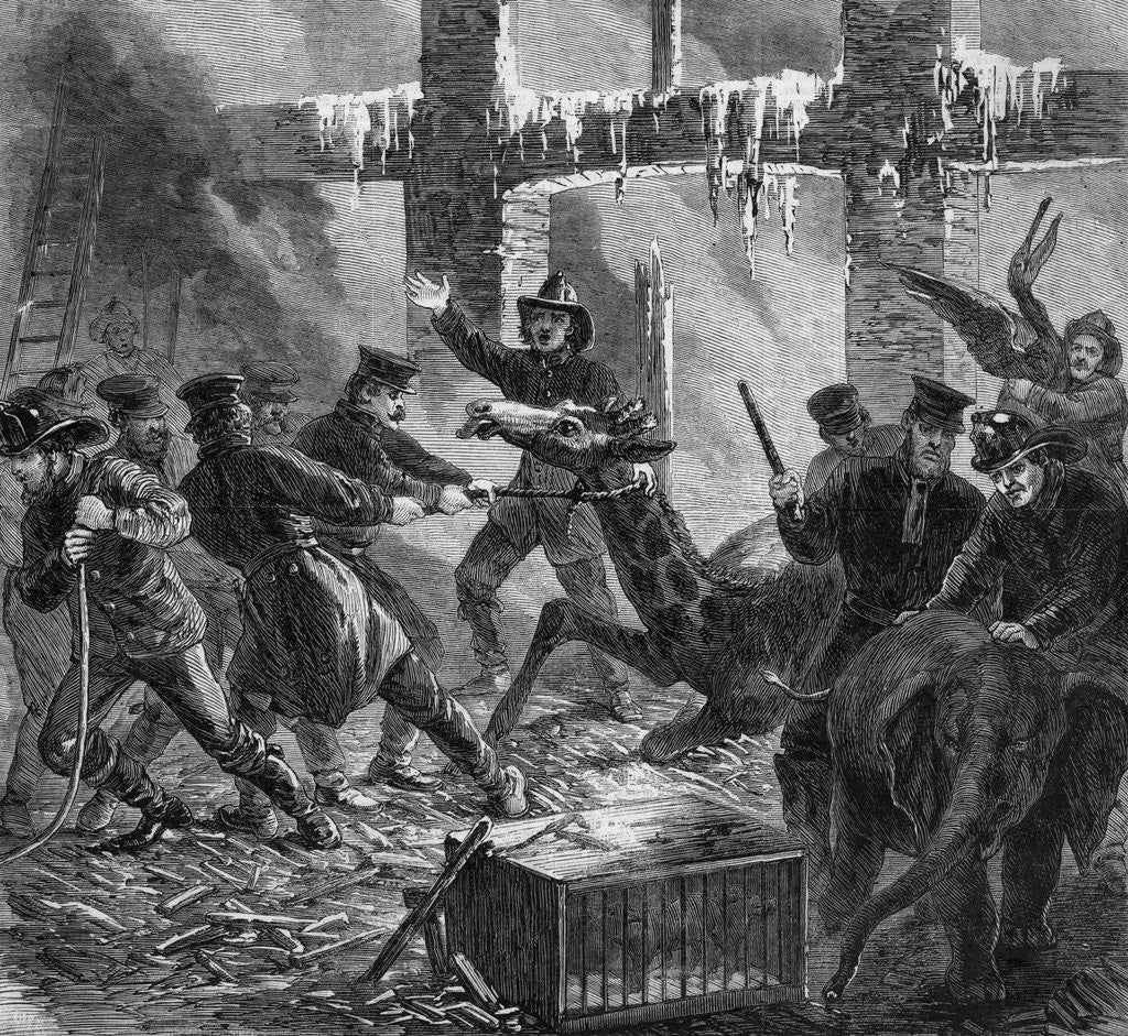 Detail of Lithograph Depicting Firemen Rescuing Animals from Barnum's American Museum by Anonymous
