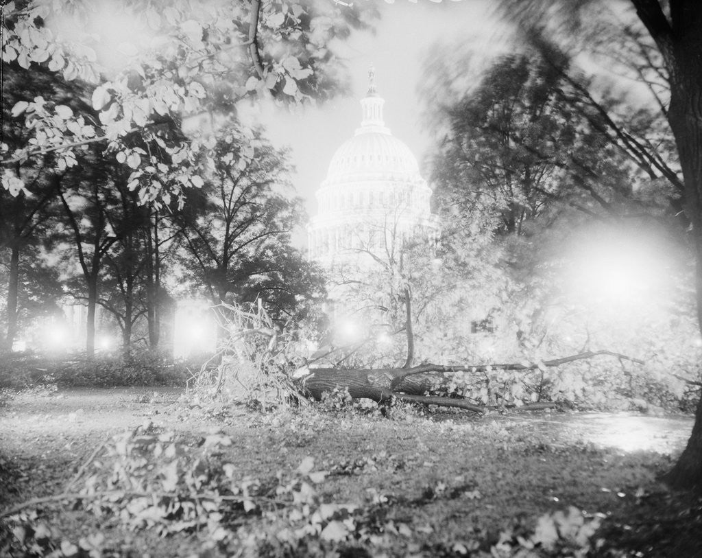 Detail of Capitol Building and Lawn After Hurricane by Anonymous