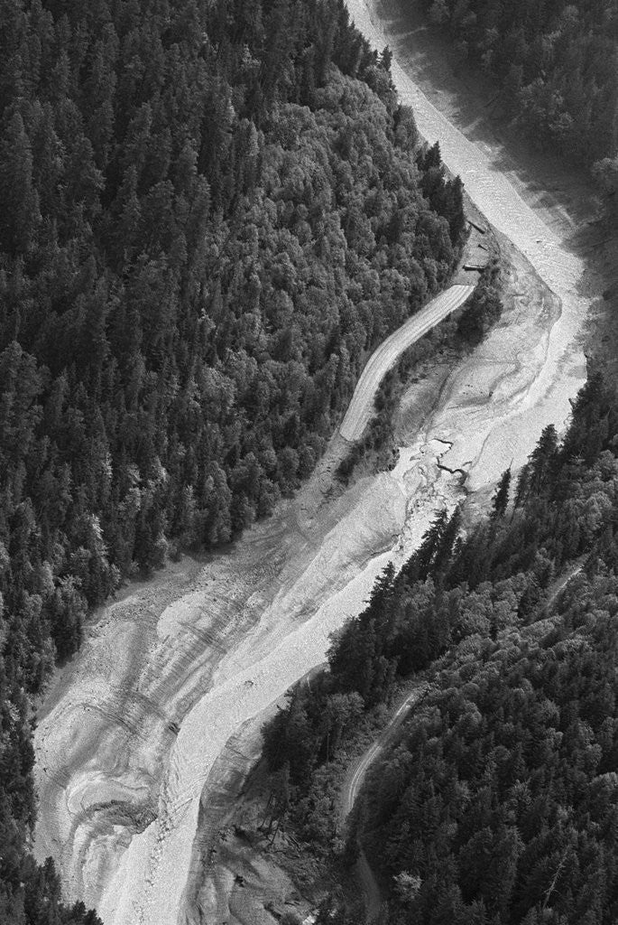 Detail of Aerial Flood Of Road Surrounded By Trees by Anonymous