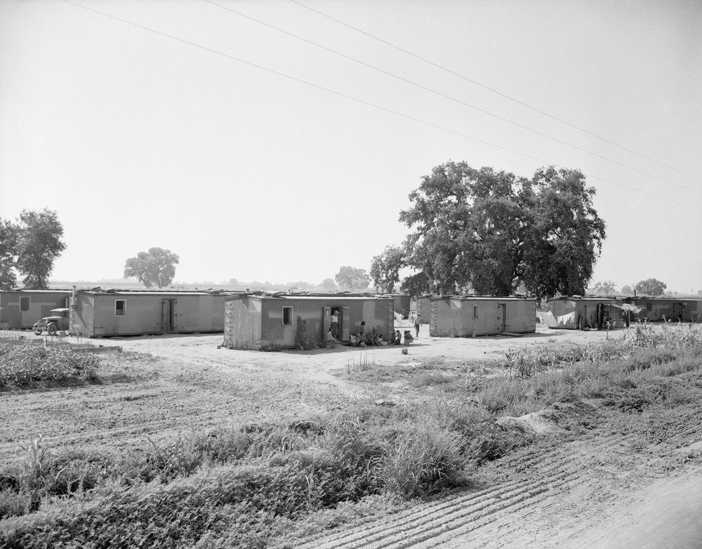 Detail of General View Of Boxcar Shanty Town by Anonymous