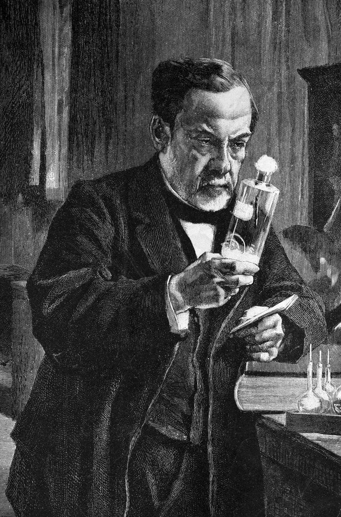 Detail of Woodcut After Louis Pasteur in His Laboratory by Albert Edelfelt