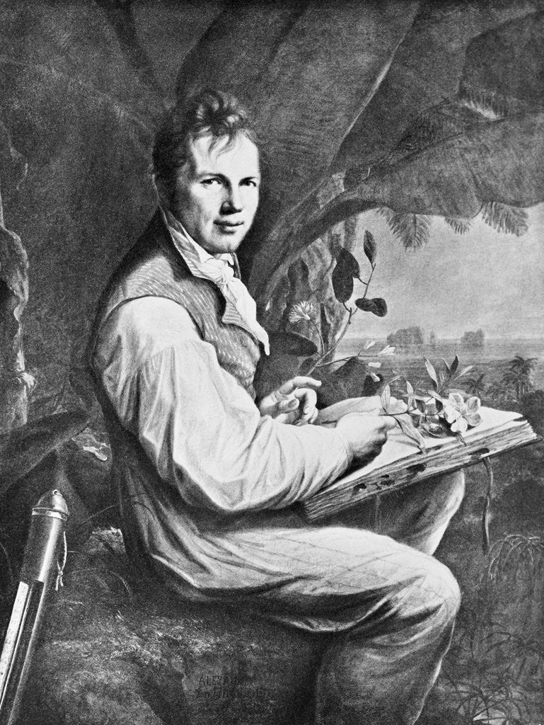 Detail of Alexander Von Humboldt Seated W/Plants by Anonymous