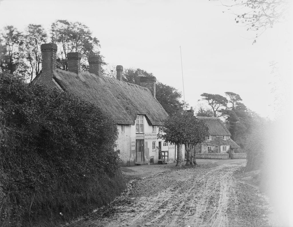 Detail of Road in Shanklin by Anonymous