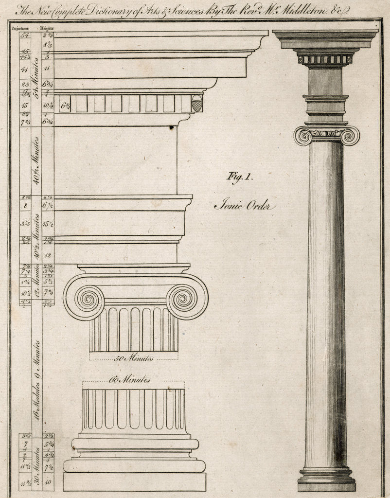 Detail of Illustration of Ionic Order of Columns by Anonymous