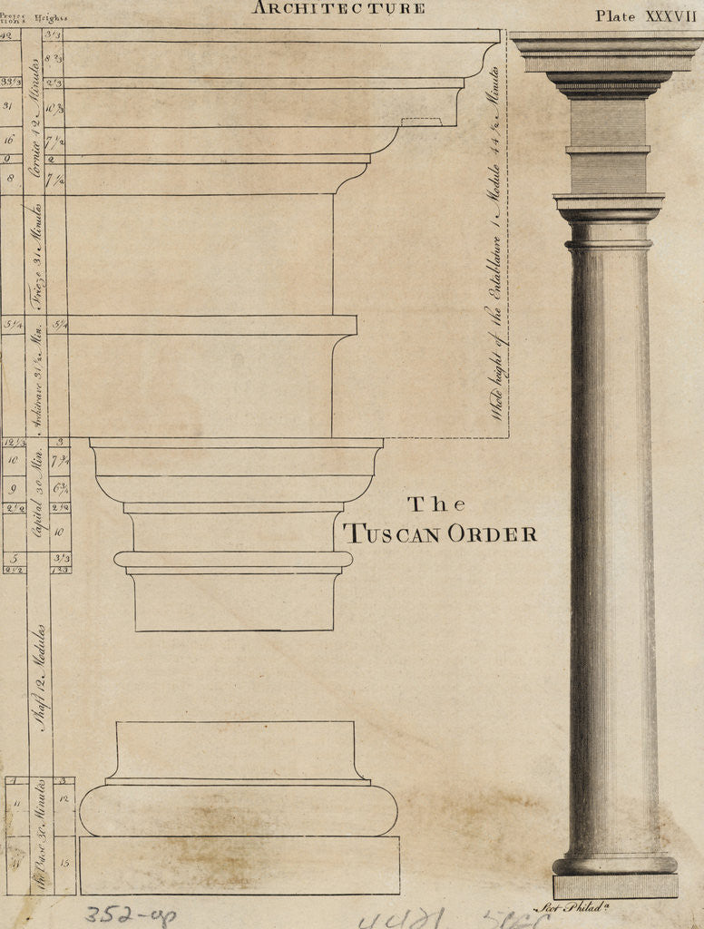 Detail of Illustration Tuscan Order of Columns by Corbis