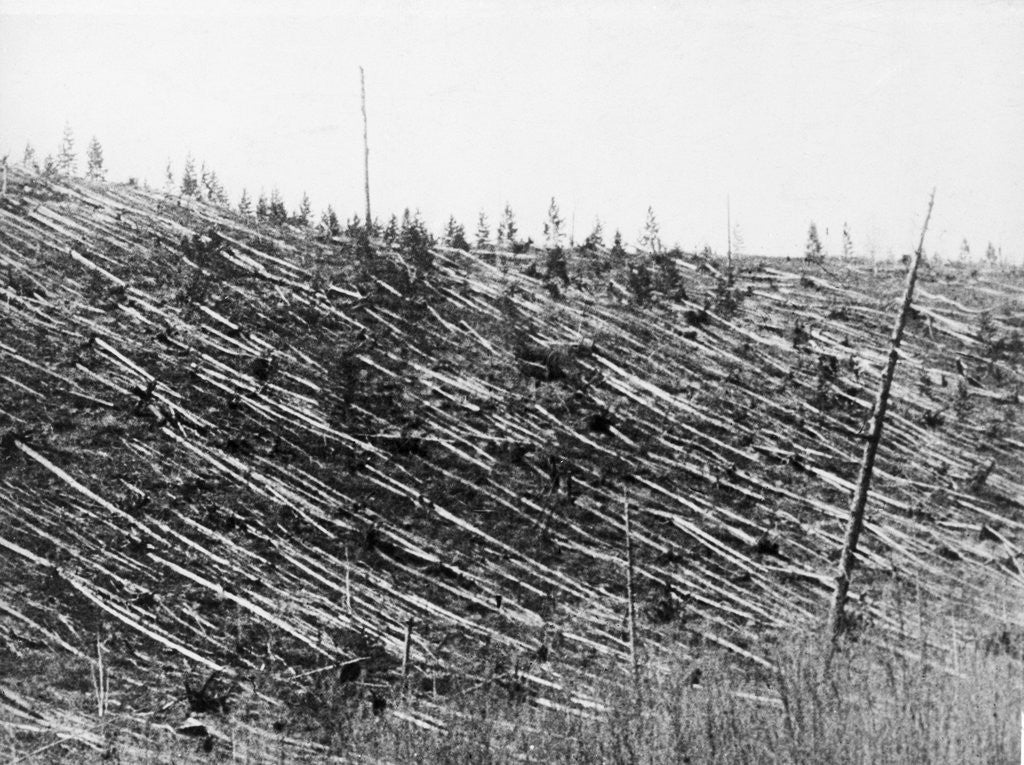 Detail of Destroyed Forest from Tungusta Meteor Impact by Corbis
