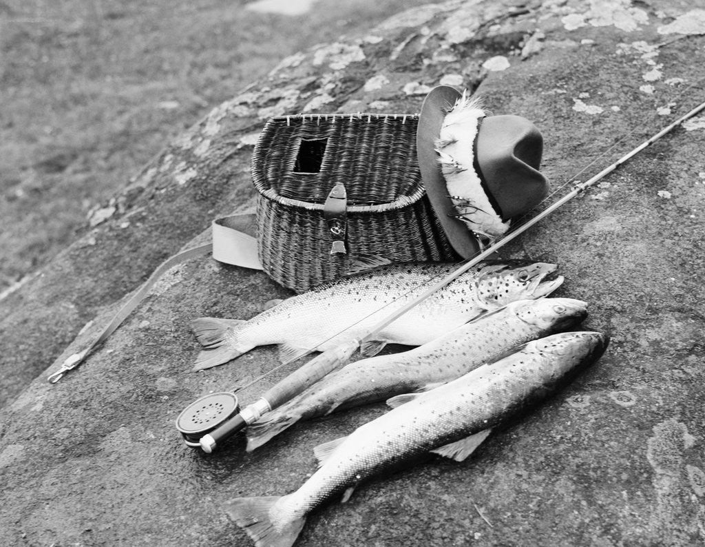 Detail of Catch of Trout by Anonymous