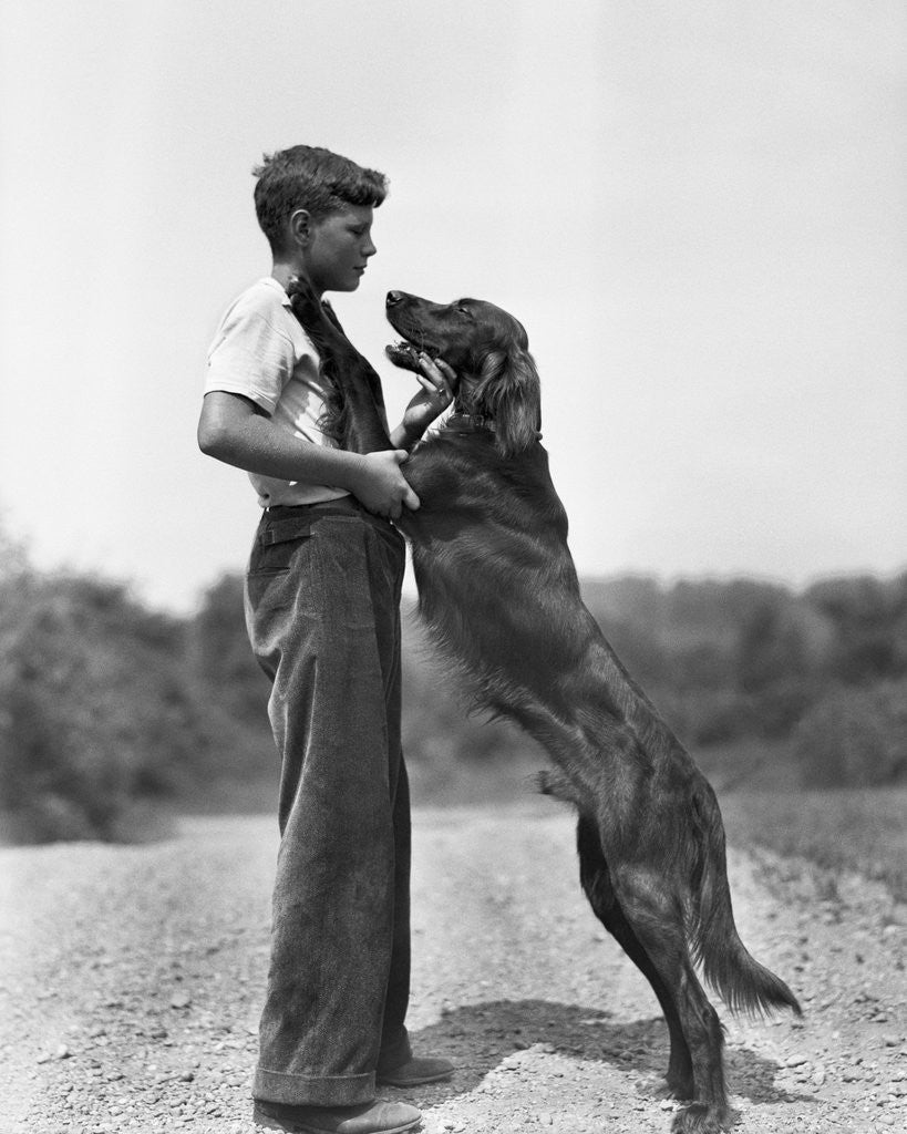 Detail of Teenage Boy with Irish Setter by Anonymous