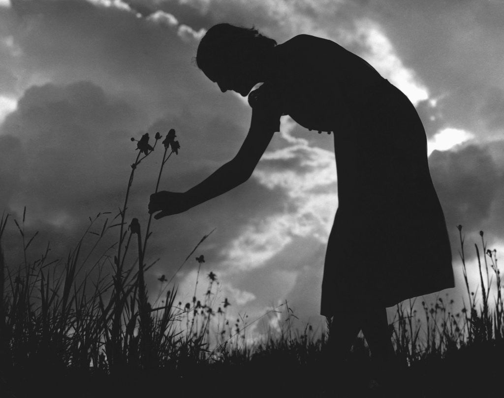 Detail of Silhouette of Woman Picking Flowers by Anonymous