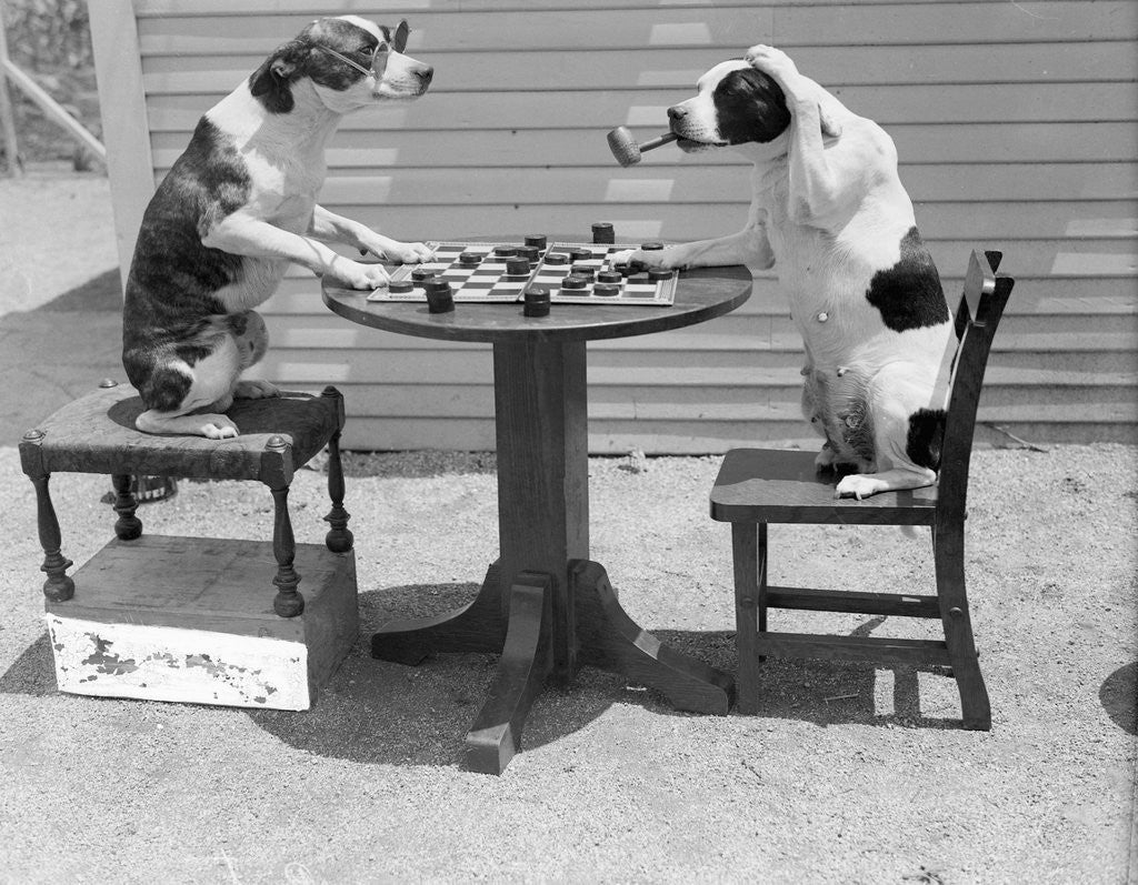 Detail of Dogs Playing Checkers/One Smokes Pipe by Anonymous