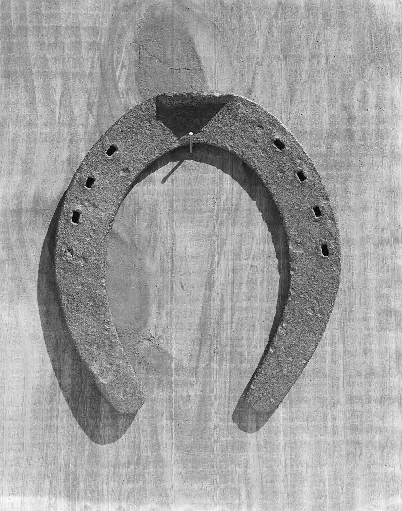 Detail of Horseshoe Hanging on a Nail by Corbis