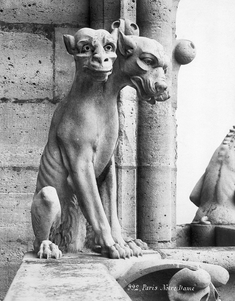 Detail of Gargoyle Of Cerebus At Notre Dame by Corbis
