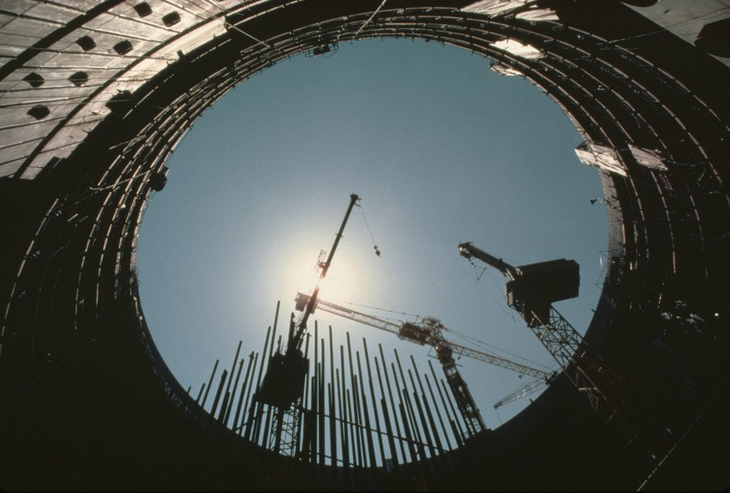 Detail of Cranes Silhouetted By Mid-Day Sun by Anonymous