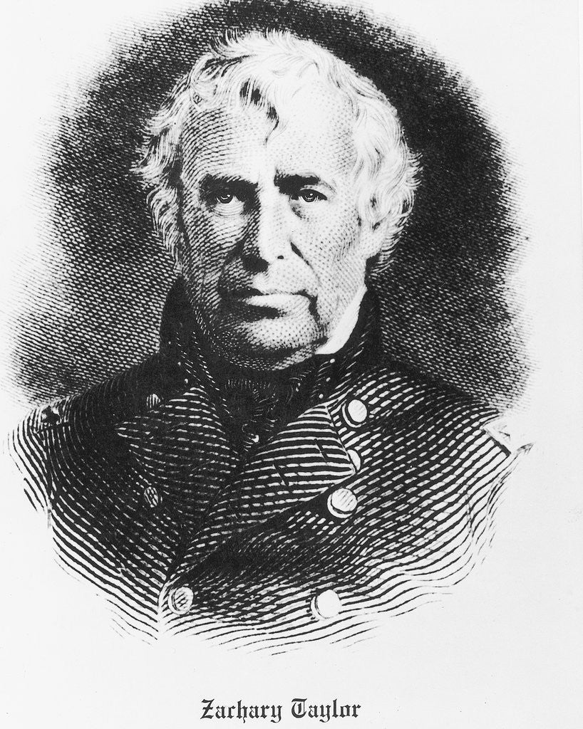 Detail of Bust Illustration Of Zachary Taylor by Anonymous