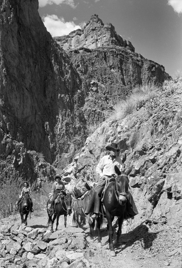Detail of Mule Riders on Kaibab Trail by Anonymous