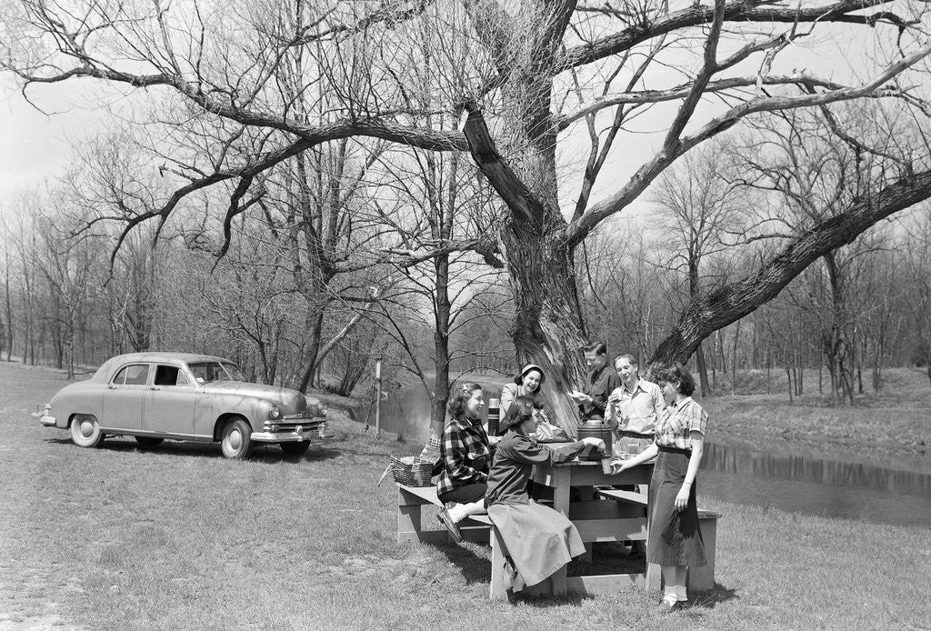 Detail of Family Having a Picnic by Anonymous