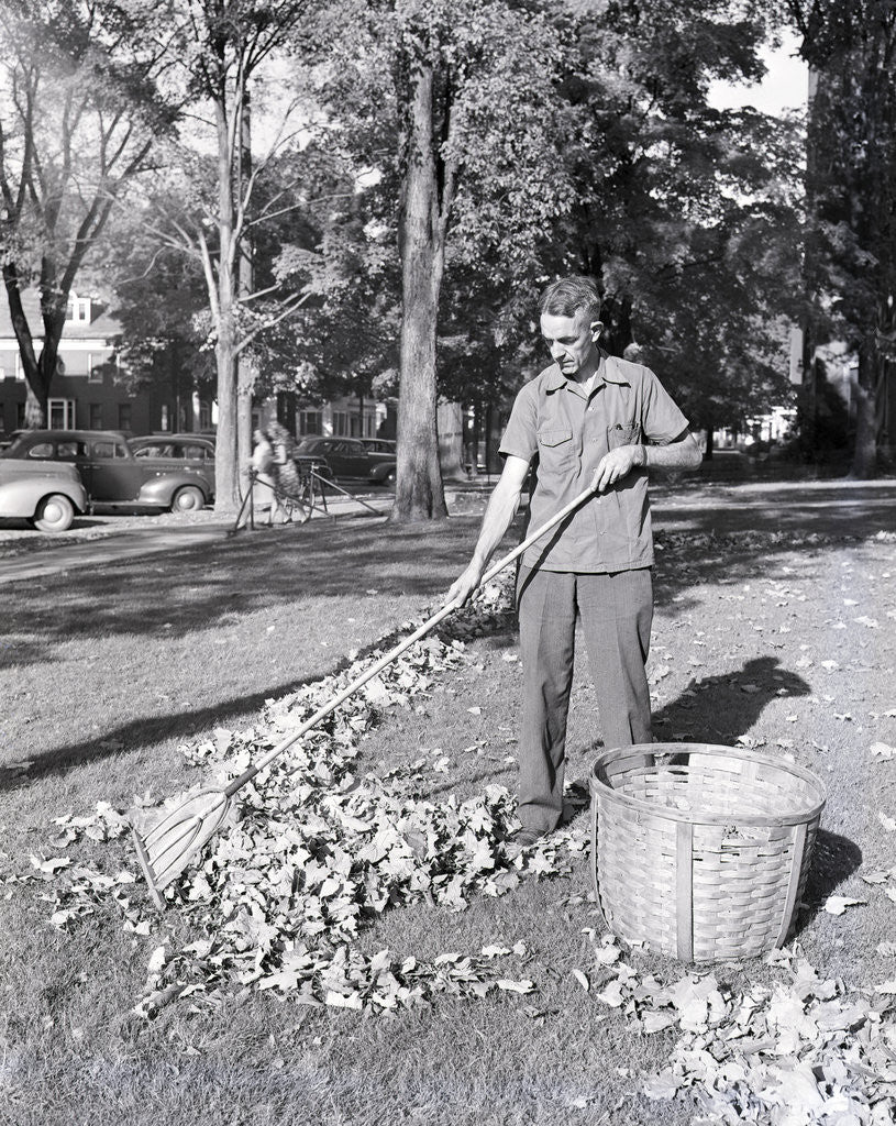 Detail of Man Raking Leaves by Anonymous