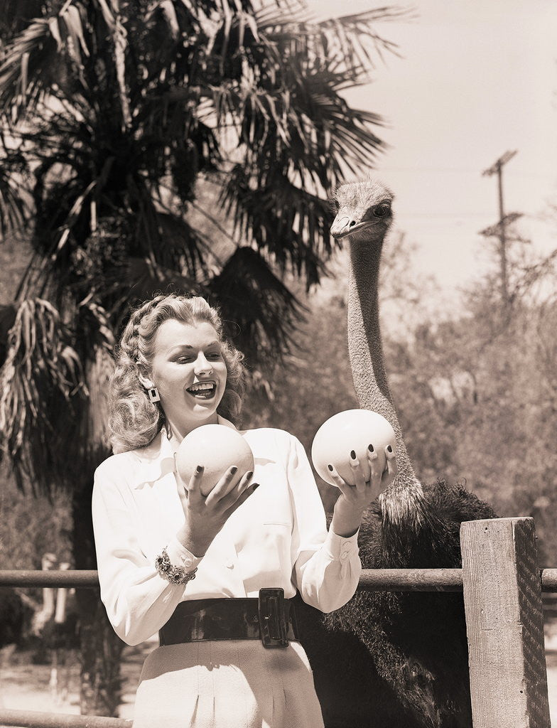 Detail of Ostrich Behind Woman Holding Its Eggs by Anonymous