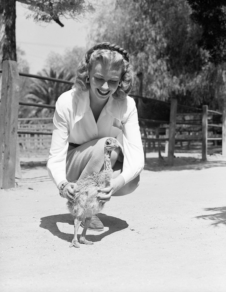Detail of Woman Kneels and Pets Baby Ostrich by Anonymous