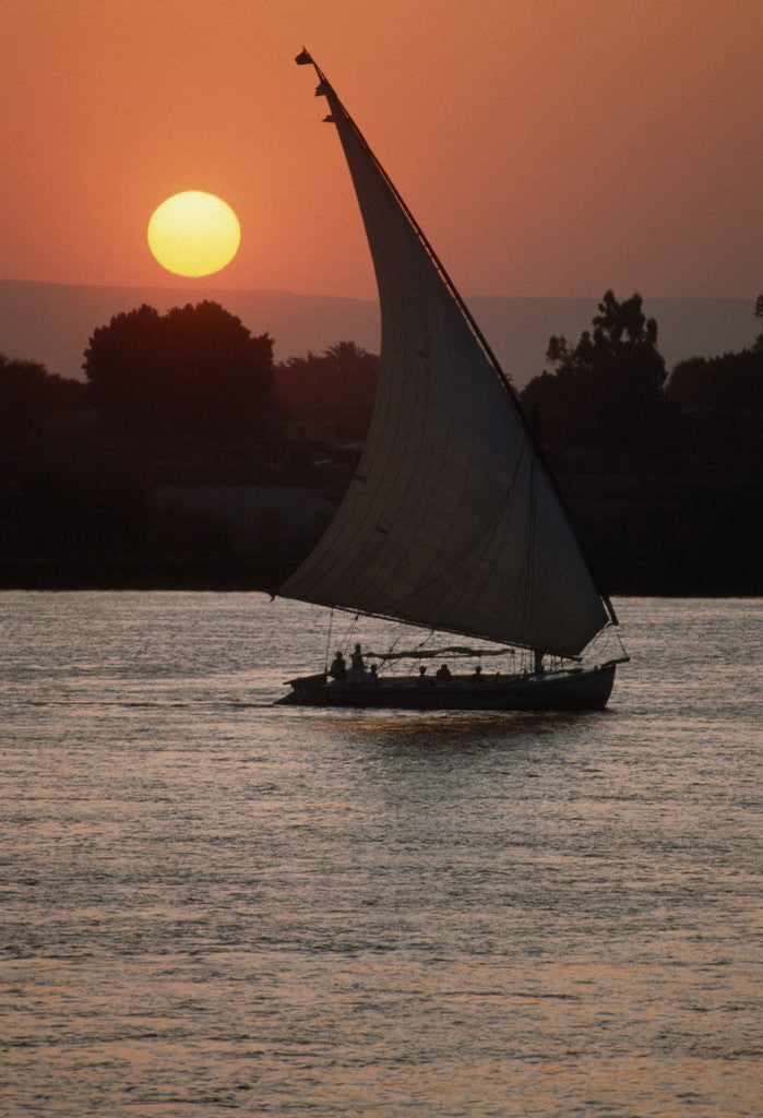 Detail of Sunset on the Nile with Boat by Anonymous