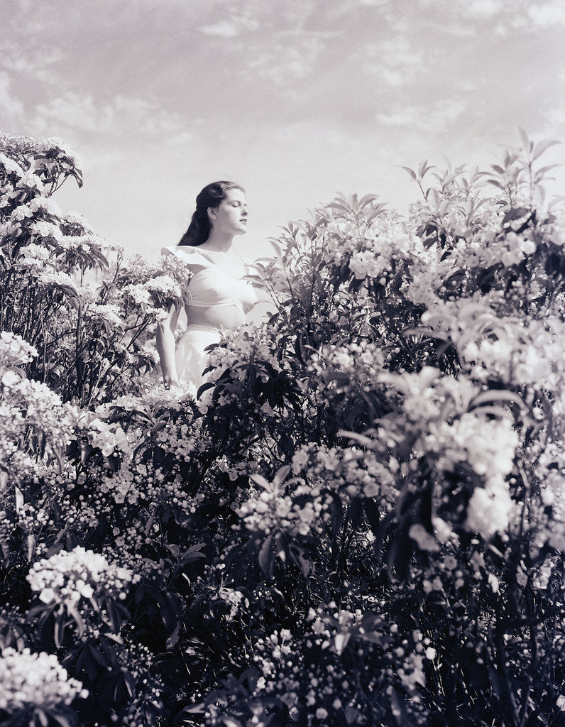 Detail of Woman Stands in the Mountain Laurel by Anonymous