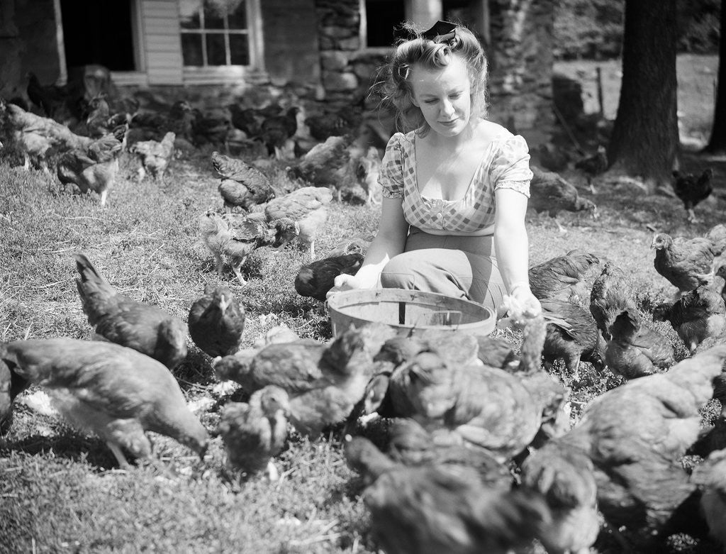 Detail of Woman Sits And Hand Feeds Chickens by Anonymous