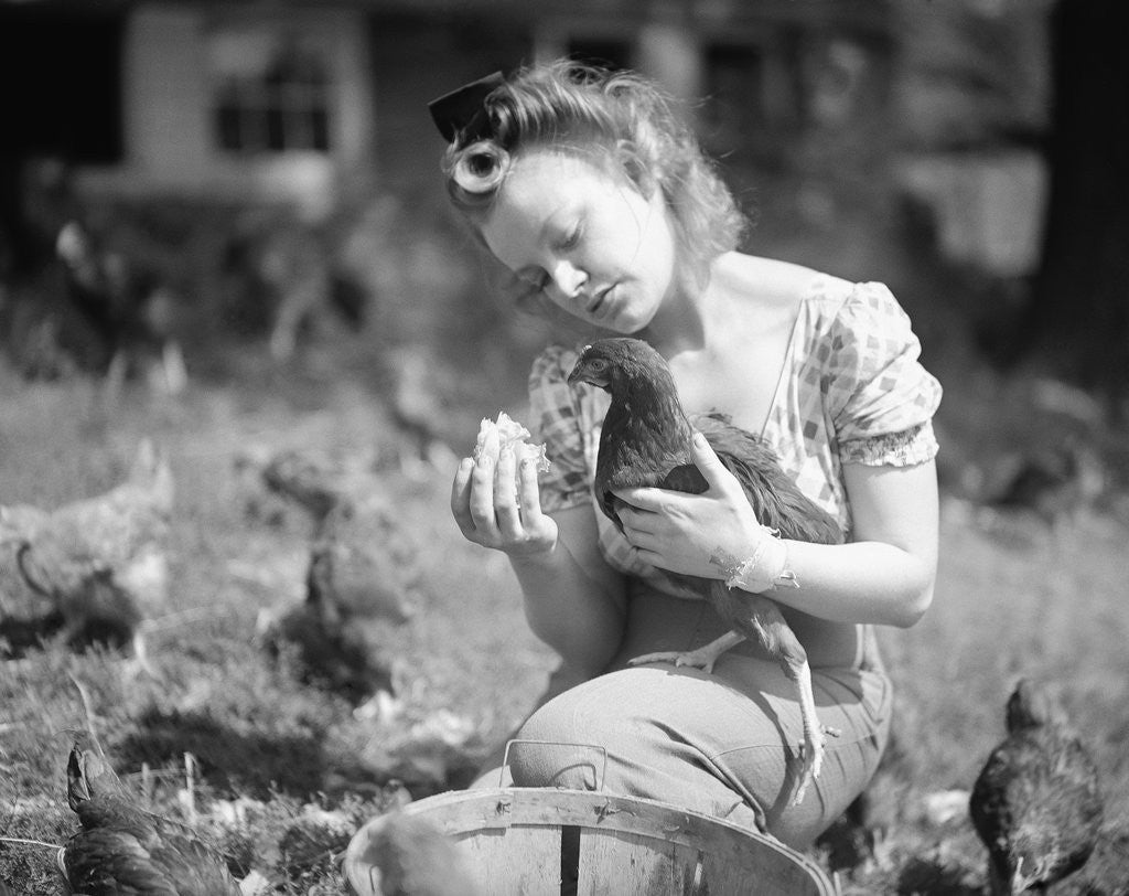 Detail of Woman Holds Chicken For Feeding by Anonymous