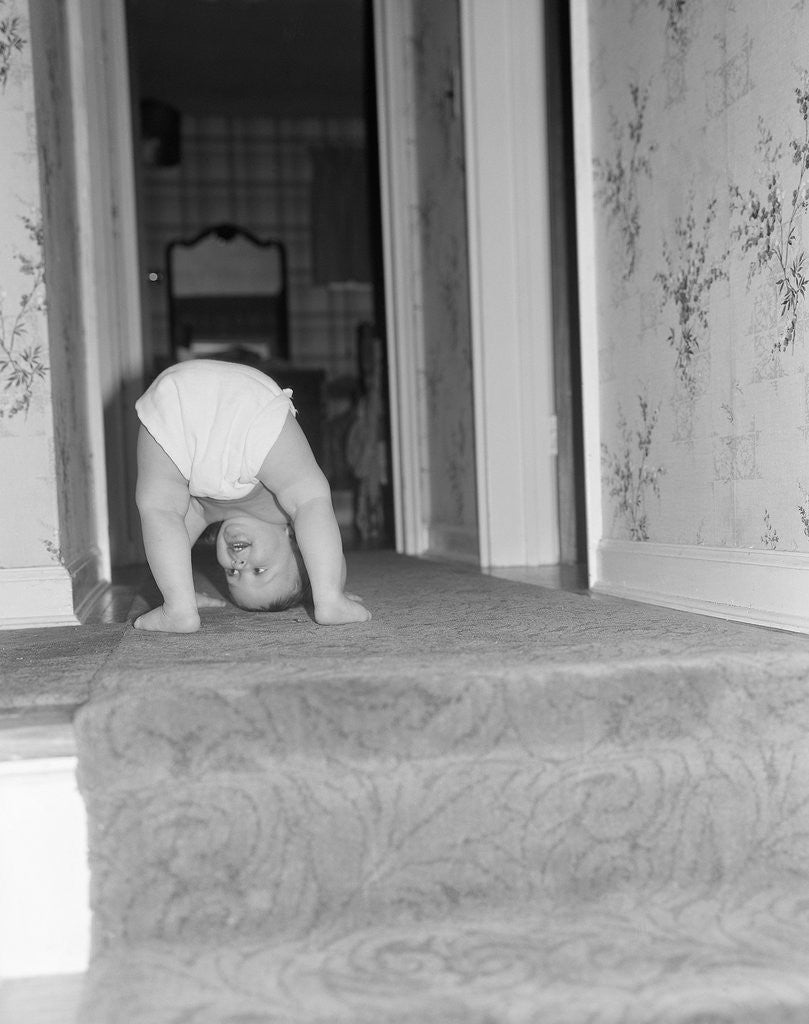 Detail of Flexible Baby by Anonymous