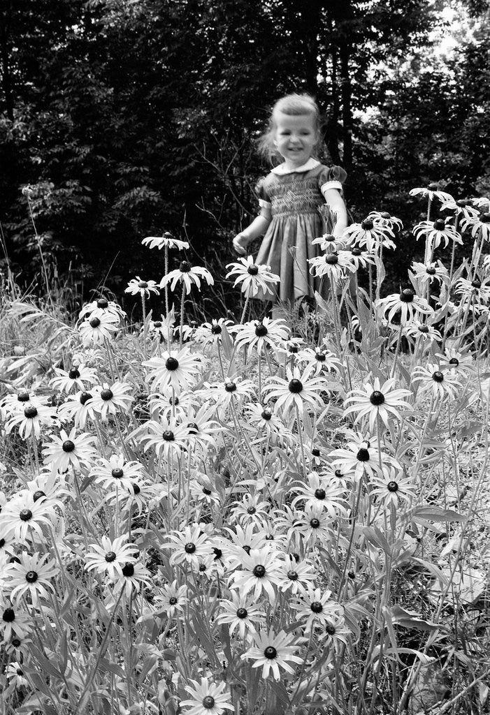 Detail of Girl in Daisy Field by Anonymous