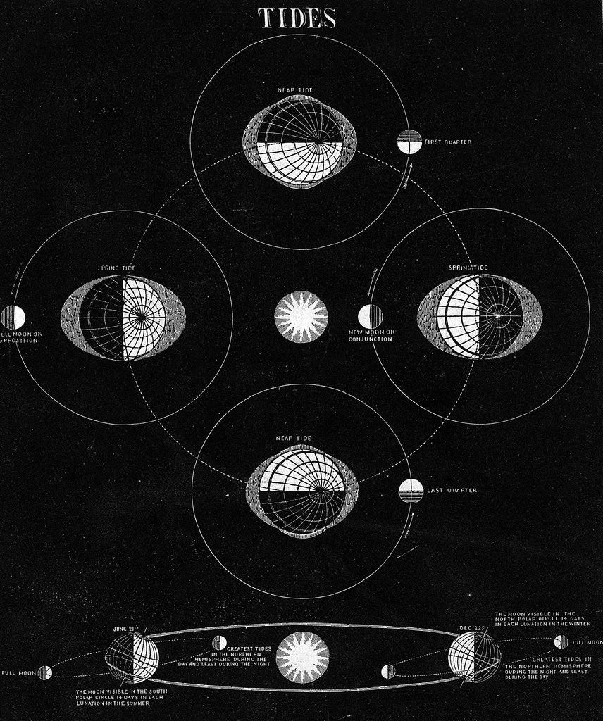 Detail of Illus/Tides Caused By Moon by Anonymous