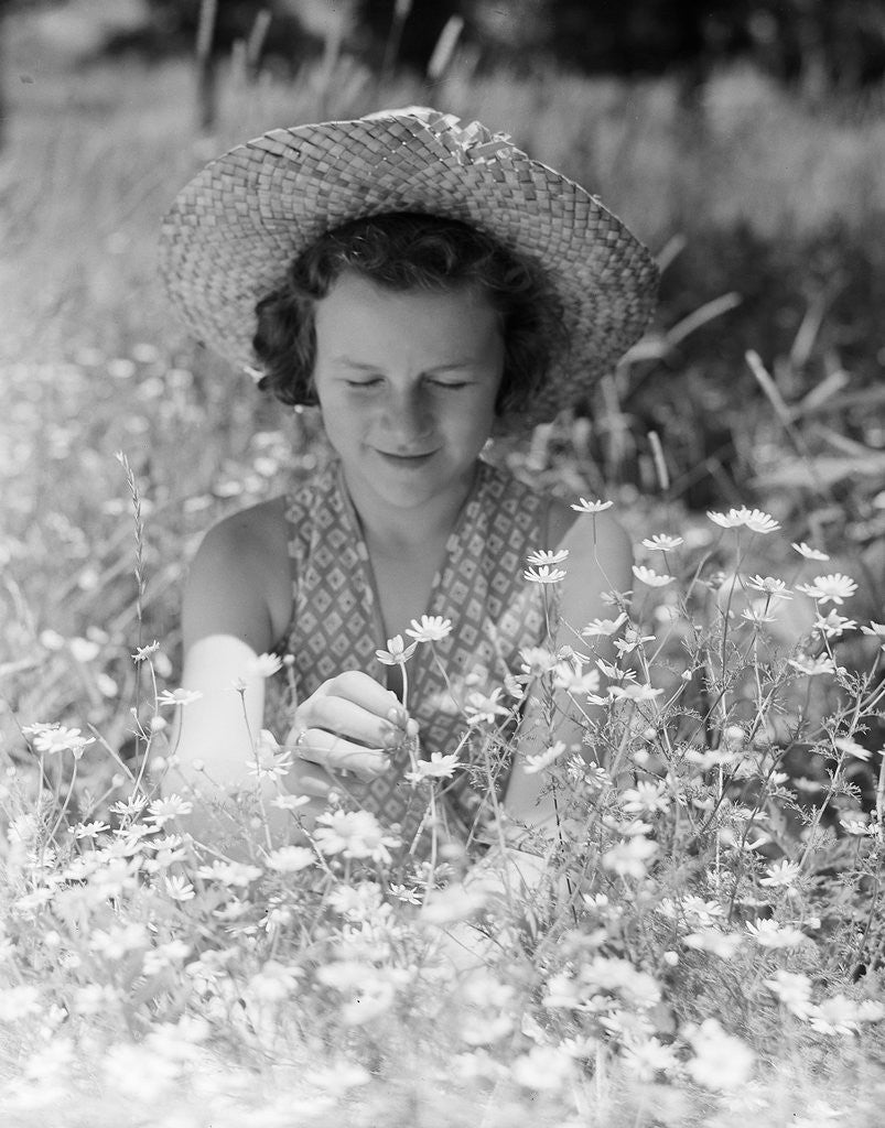 Detail of Girl in a Field of Daisies by Corbis
